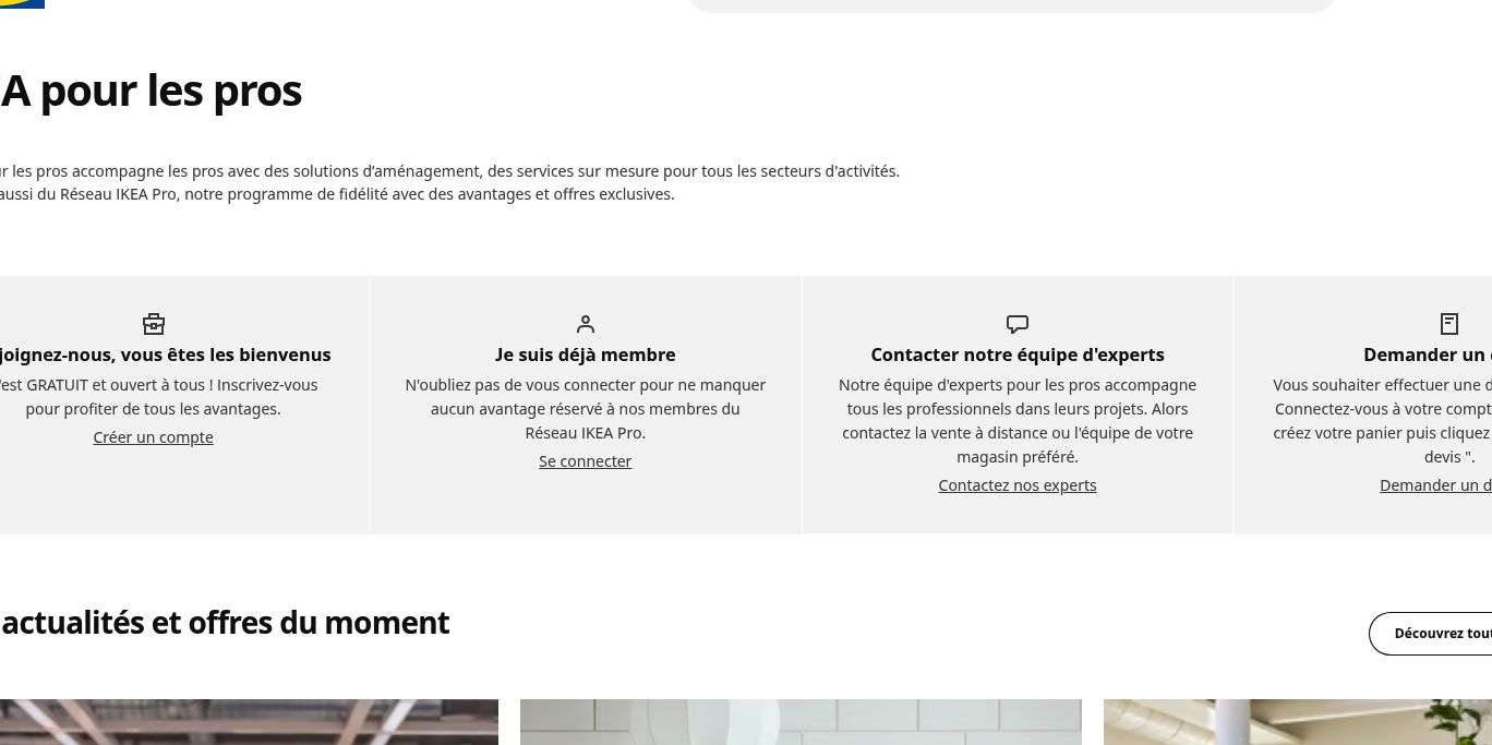 Aperçu IKEA Business